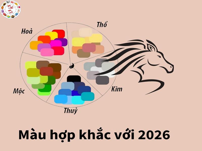 Các nhóm màu kỵ hợp 2026
